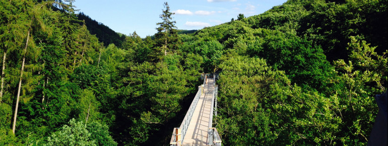 Der Baumwipfelpfad liegt mitten im Kurpark von Bad Harzburg.