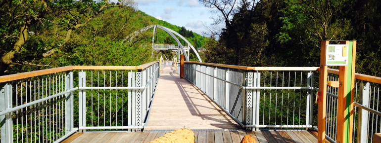 Hier lernst du einiges rund um das Thema Wald und Natur.