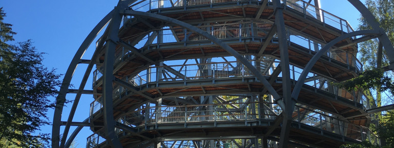 Die Einstiegskrone ist 30 Meter hoch.