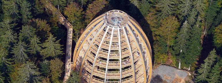 Der Baumturm aus der Luft