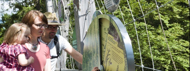 Der Baumwipfelpfad ist ein tolles Ausflugsziel für Familien