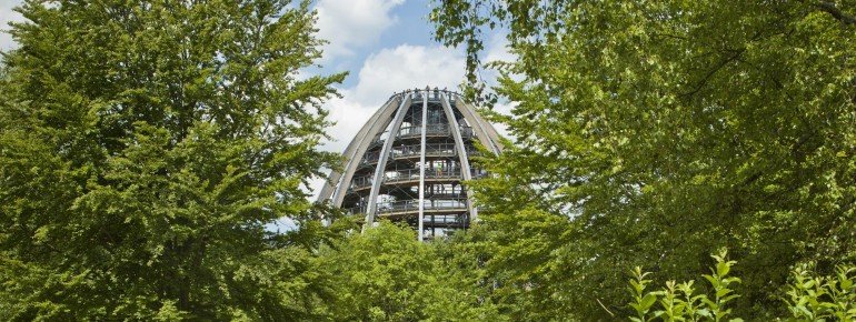 Das Baum-Ei zählt zu den Highlights des Baumwipfelpfades