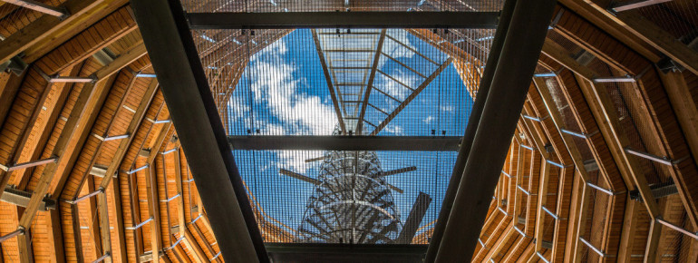 Unter dem Aussichtsturm befindet sich die Wurzelhöhle.