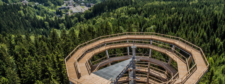 Vom Aussichtsturm hast du einen herrlichen Blick über das tschechische Riesengebirge.