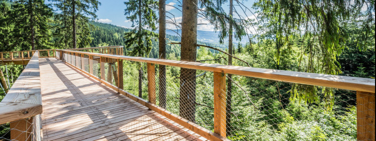 Auf dem Weg findest du interessante Lehrstationen.