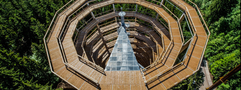 Der Baumwipfelpfad Krkonoše liegt im tschechischen Riesengebirge.