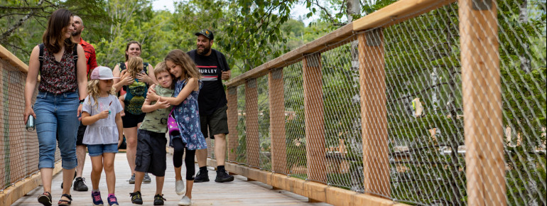 Der Baumwipfelpfad ist für die ganze Familie geeignet.