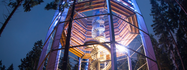 Nachts herrscht auf dem Bauwipfelpfad Lipno eine ganz besondere Atmosphäre.