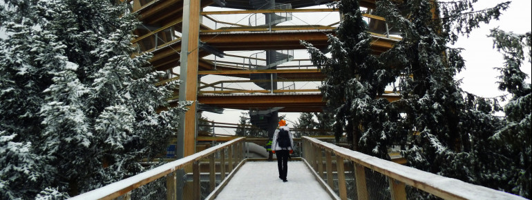 Der Baumwipfelpfad Lipno ist auch im Winter geöffnet.