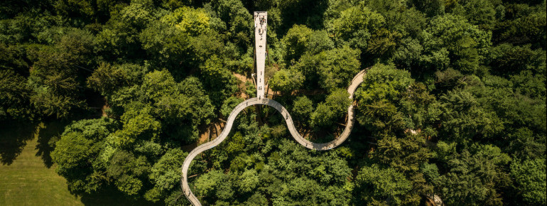 Der Baumwipfelpfad bei Mogelsberg ist der erste seiner Art in der Schweiz.
