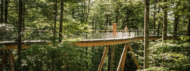 Der Baumwipfelpfad Neckertal ist rund 500 Meter lang.