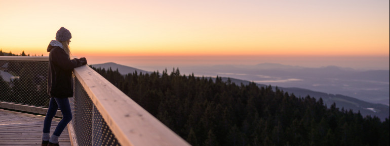 Auch im Winter ist der Baumwipfelpfad geöffnet. Dann sind die Bedingungen für eine perfekte Fernsicht besonders gut.