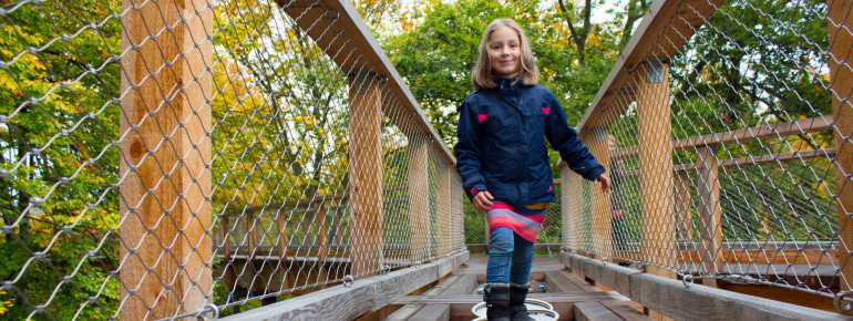 Balancieren in luftigen Höhen: In den Baumwipfelpfad mit eingebaut sind immer wieder verschiedene Stationen.