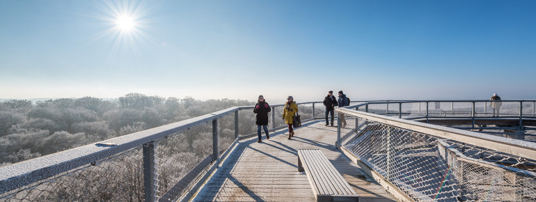 Auch im Winter ist der Baumwipfelpfad geöffnet und einen Besuch wert.