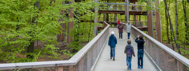 Imposant wirkt der Aussichtsturm, wenn man darauf zugeht.