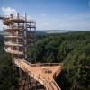 Der große Baumturm ist der Höhepunkt des Baumwipfelpfades.