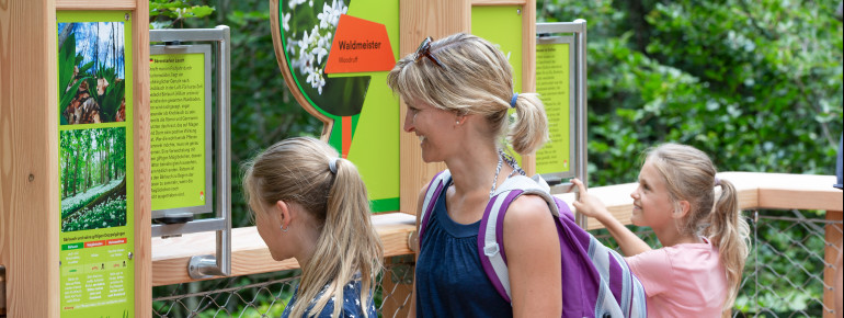 An Erlebnisstationen lernt man vieles über die Natur und das Salzkammergut.