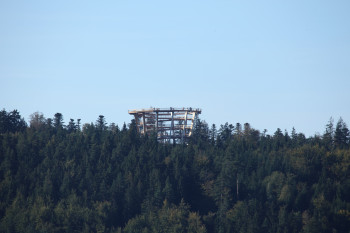Die Spitze des Aussichtsturms liegt über den Baumkronen.