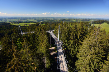 Der Skywalk Allgäu besteht aus einer 540m langen Hängebrückenkonstruktion, die von 14 Stahlmasten getragen wird.