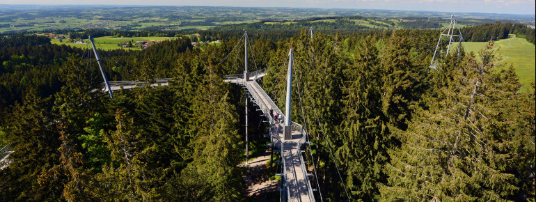 Der Skywalk Allgäu besteht aus einer 540m langen Hängebrückenkonstruktion, die von 14 Stahlmasten getragen wird.