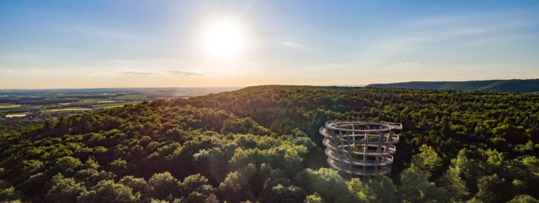 Auf dem Turm hast du eine tolle Aussicht über den Steigerwald.