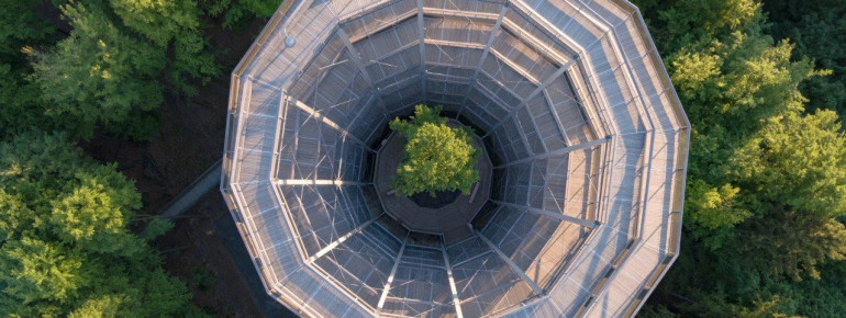 Als Höhepunkt gilt der kelchförmige Holzturm.