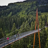 Die Golden Gate Brücke der Alpen gehört auch zum Baumzipfelpfad.