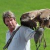 Im Bayern-Park kannst du Greifvögel hautnah erleben!