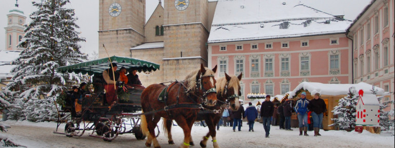 Die Pferdekuschte befördert Gäste kostenlos