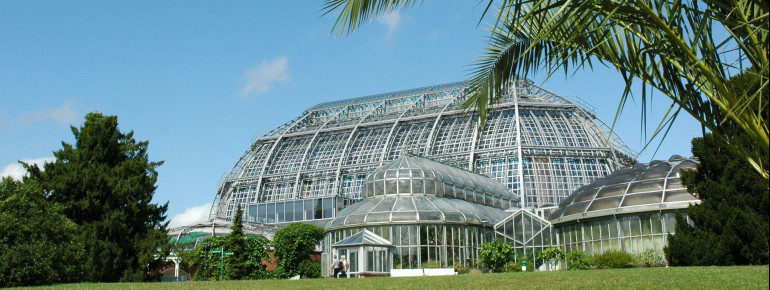 Großes Tropenhaus