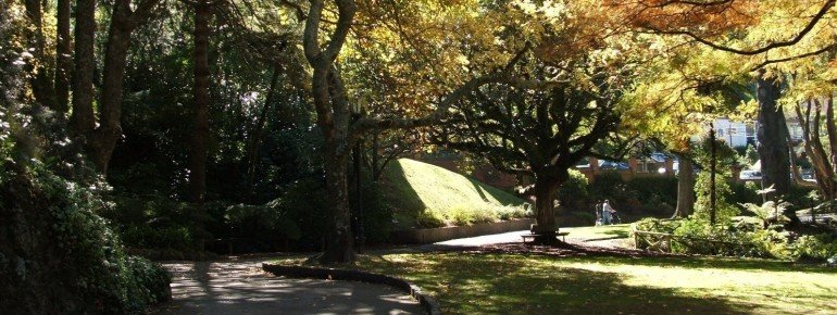 Weg im herbstlichen Botanischen Garten