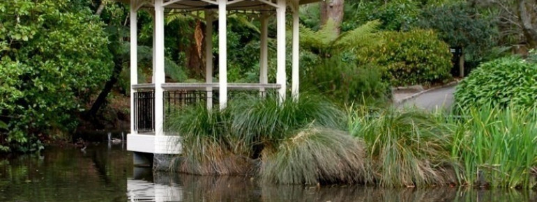 Botanischer Garten Wellington