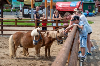 Das weitläufige Außengelände bietet Schaugärten, Tiergehege mit einheimischen Rassen und zahlreiche humorvolle Installationen rund um das Thema Wurst.