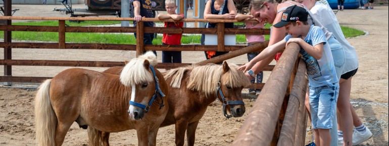 Das weitläufige Außengelände bietet Schaugärten, Tiergehege mit einheimischen Rassen und zahlreiche humorvolle Installationen rund um das Thema Wurst.