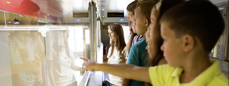 Die Erlebnisführung ist für Kinder geeignet und bringt diesen mit Anschauungsmöglichkeiten das Bäckerhandwerk näher.