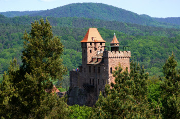 Hier wird das Mittelalter wieder lebendig: Burg Berwartstein bei Erlenbach.