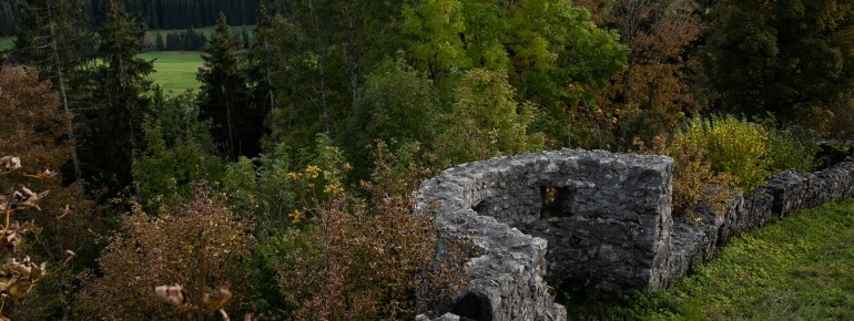 Von der Aussichtsplattform der Burgruine Eisenberg eröffnet sich ein weiter Blick über Zell, Pfronten und die Allgäuer Bergwelt.