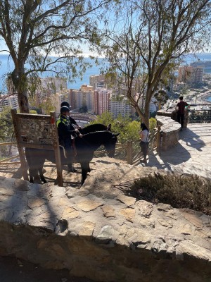 Selbst die berittene Polizei genießt den Ausblick von Gibralfaro über die Stadt.