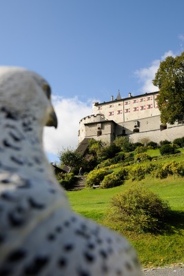 Die Festung beherbergt das einzige Falknereimuseum Österreichs.
