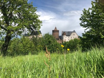 Auf über 60 Metern Höhe thront die Burg Mildenstein über der Freiburger Mulde.