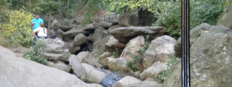 Steinige Landschaft im Central Park