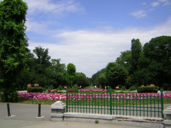 Blick auf das Zentrum des Parks