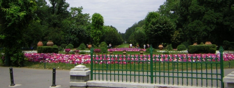 Blick auf das Zentrum des Parks