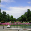 Blick auf das Zentrum des Parks