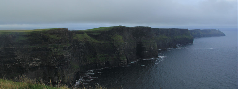 Knapp 30 verschiedene Vogelarten nisten an den Cliffs of Moher, allen voran die riesigen Kolonien der berühmten atlantischen Papageientaucher.