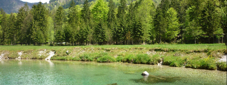 Erlebe die naturbelassene Landschaft im Wildpark Grünau.