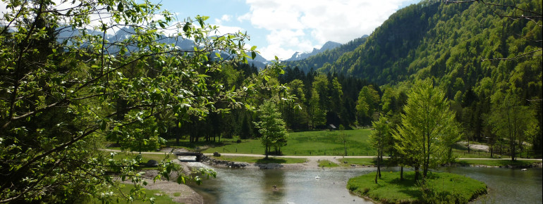 Durch Erhaltungszucht beteiligt sich der Wildpark aktiv am Artenschutz.