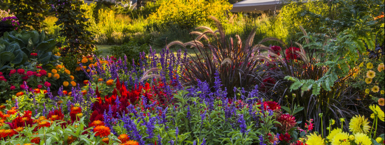 Neben dem Romantic Gardens, Lilac Garden, und dem Victorian Secret Garden gibt es zahlreiche weitere liebevoll angelegte Gärten in York Street zu erkunden.