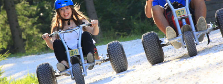 Mit dem Mountain-Kart kannst du nach deinem Besuch im Wildpark wieder nach unten zur Talstation fahren.