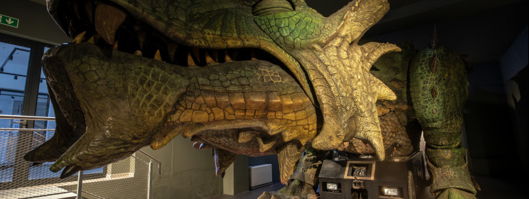Schlafender Drache in der Drachenhalle